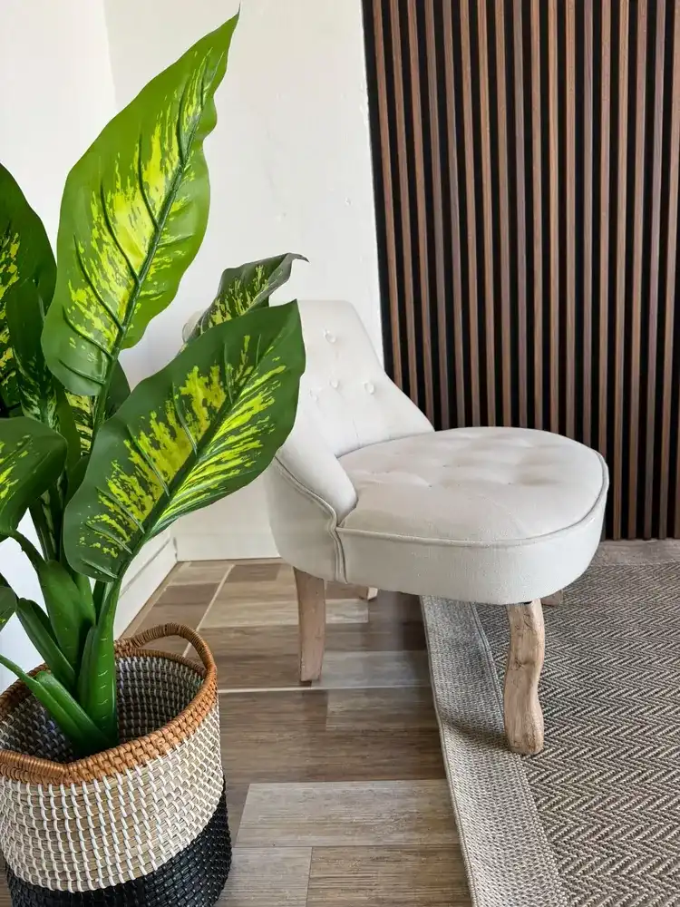 Consultorio - sillón y planta